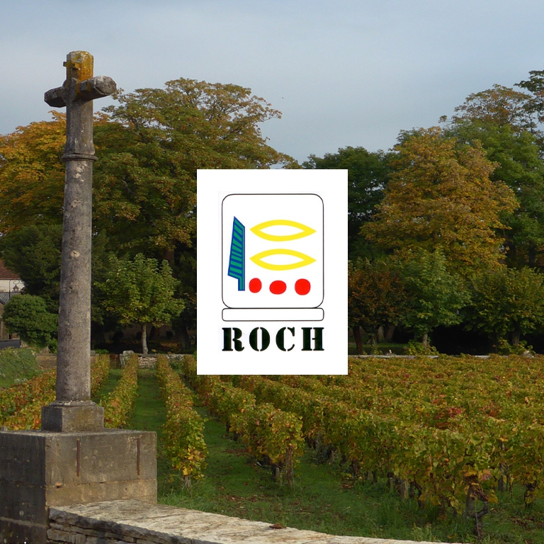 visuel-domaine-prieure-roch-infogerance-reseau-concept.jpg